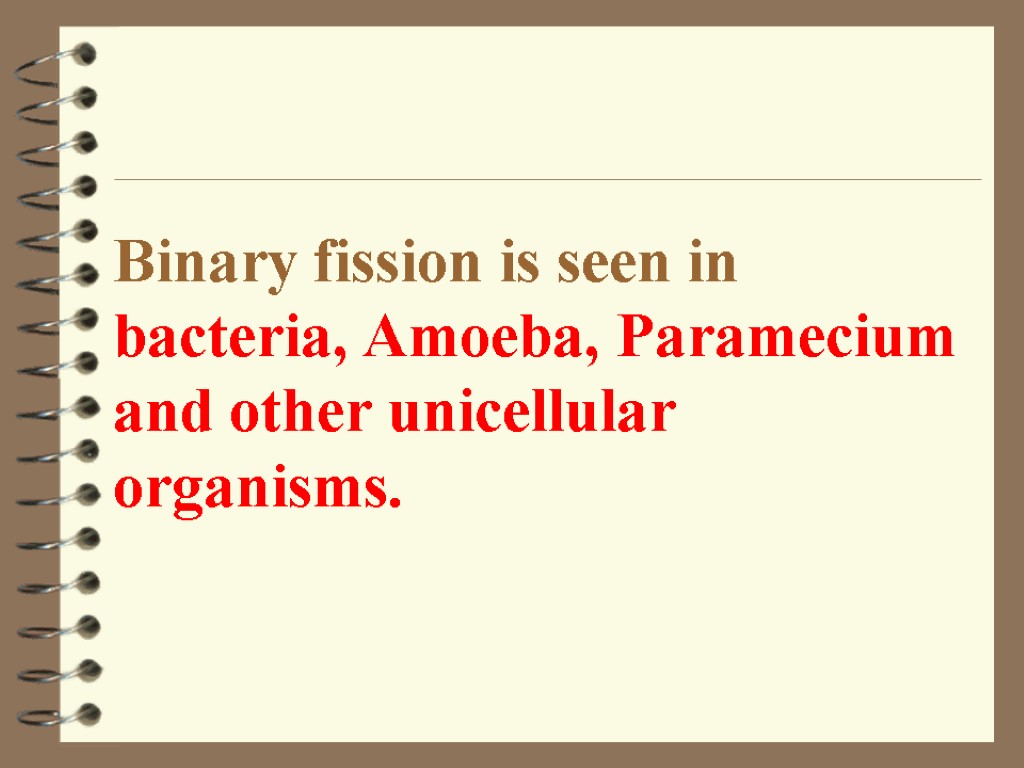 Binary fission is seen in bacteria, Amoeba, Paramecium and other unicellular organisms.